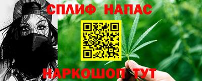 сатива Можга