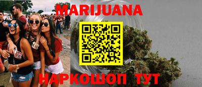 сатива Можга